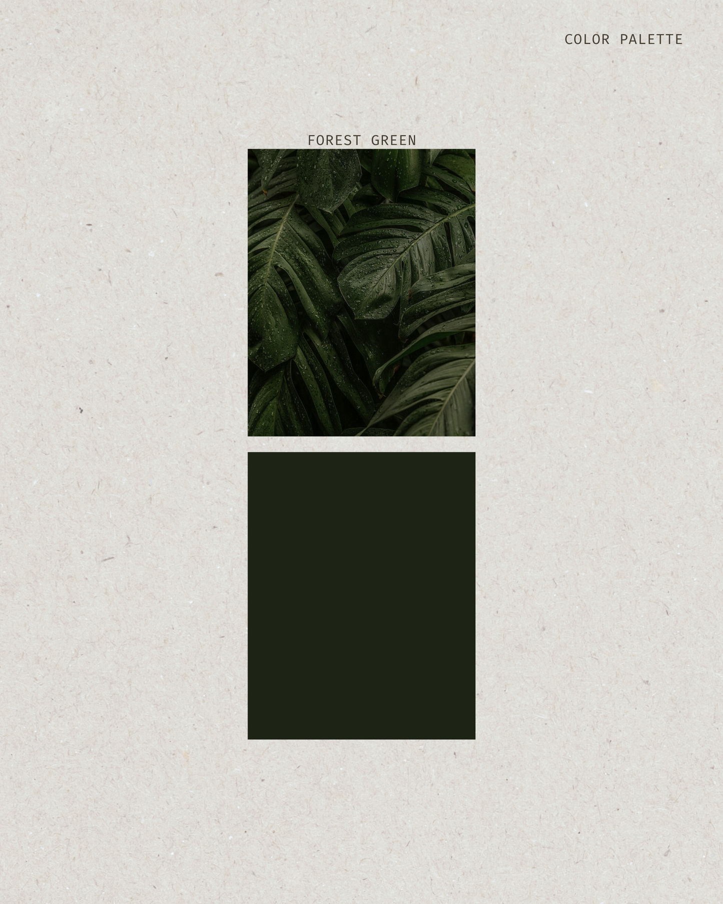Modal Hijab | Forest Green
