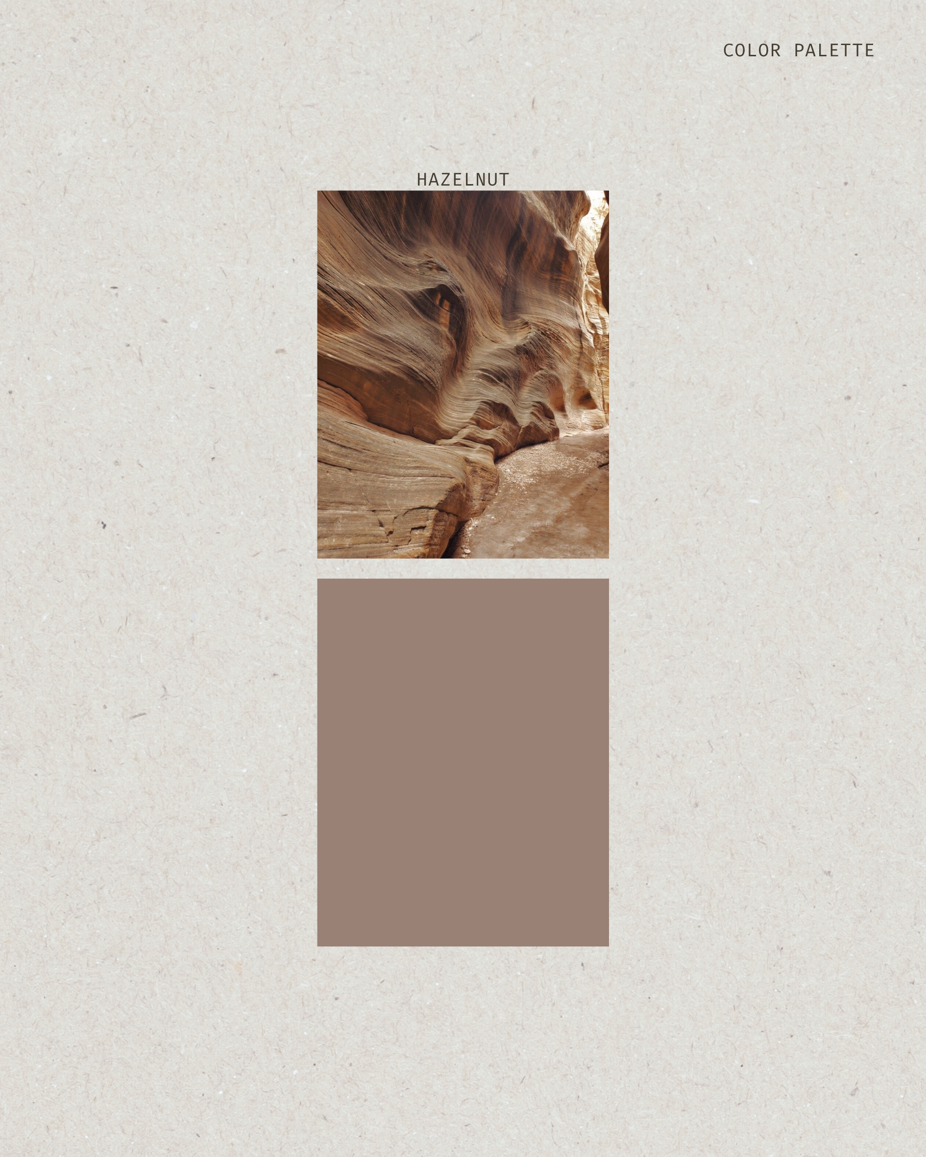 Color palette inspired by a natural rock formation with a brown swatch labeled 'Hazelnut'.