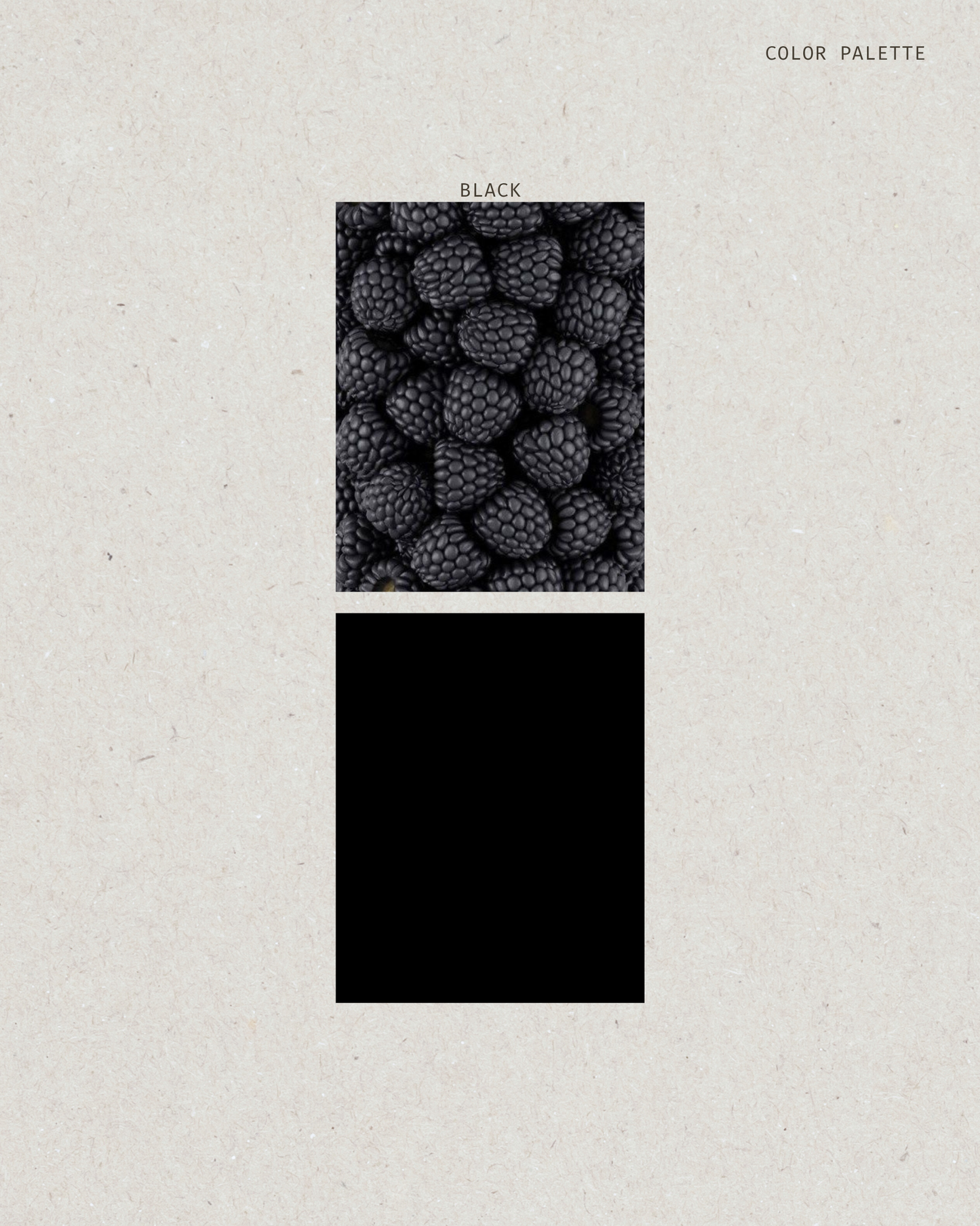 Modal Hijab | Black